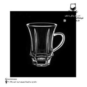 فنجان پاریس ایرنا لهستان